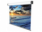 Electrical203x203cmBenQ113",1:1,Wireless+Cableromotecontrol