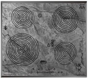 ВарочнаяпанельKaiserKCT6705FIARA