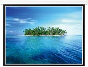 Electrical244x183cmUltraScreenChampion4:3,CableRemoteControl