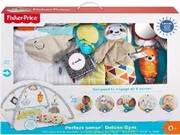 Fisher-Price"Primeleimpresiialebebelu?ului"
