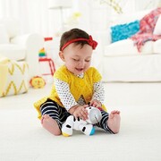 MattelFisherPrice"prieteniidecompanie"asst