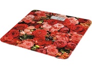 НапольныевесыMaxwellMW2666