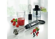 БлендерRohnsonR578