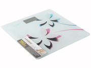 НапольныевесыENDEVERSkylineFS-506