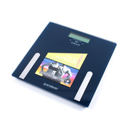 НапольныевесыENDEVERAurora-550