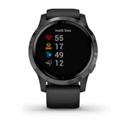 GarminVivoactive4,BlackwichSlateHardware