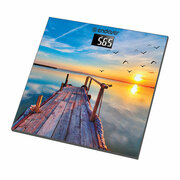 НапольныевесыENDEVERAurora-552