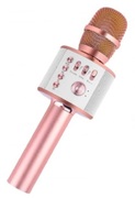 HelmetWirelessKaraokeMicrophoneH12Rose