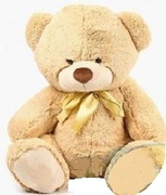 STIP-Ursulnazdravan26cm