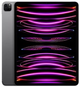 Apple12.9-inchiPadPro1TbWi-Fi+CellularSpaceGray(MP243RK/A)