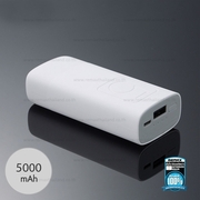 RemaxFlincPowerBank,5000mAh,White