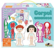 Puzzle-Invatacorpulomenesc