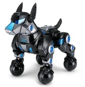 RastarIntelligentDogo,Black