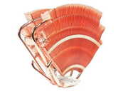 ThermaltakeCL-P0472V14-Pro,6Heatpipe/AllCopperFin(98Fin)/AirFlow:86,5cfm/1000-1600RPM/16dBA/BlueLed(w/UpgradeKit)