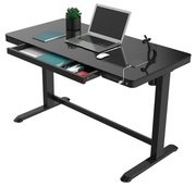 FlexispotAdjustableDeskET118,Black(1Motor,DeskSize:120x60cm,Capacity:50kg,HeightAdjustment:72cm-121cm,Speed:25mm/s,USBPorts)
