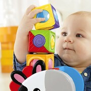 FPZebraCreativacucuburi