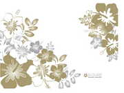 G-CubeGSA-15SRAlohaSunriseupto15"