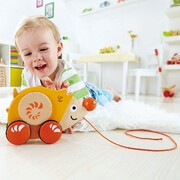HAPE-WALK-A-LONGHEDGEHOG