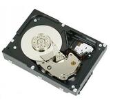 Dell300GB10KRPMSAS12Gbps2.5inHot-plugHardDrive,3.5inHYBCARR,CusKit