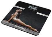 CintarPolarisPWS1879DG180kg