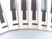 HeatingElement220VforHPLJ1010/1020