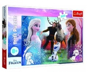 Trefl23006Puzzle300MagicTimeFrozen2