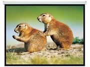 BrateckPEBA108180"(16:9)ManualProjectionScreen240x135cm,12kg