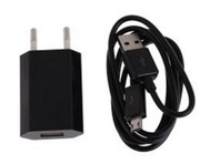 "XPowertraveladapter,FastChargeQC3.0,1USBInput:100-240V~50/60HzMax0.6AOutput:5.0V-2.0AStandardUSBinterface-PluganduseBlack"