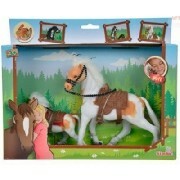 Simbacalut11cmsi19cm