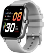 ZeblazeSmartWatchGTS2,1,69HDDisplay,210mAh,BtCalling,Silver