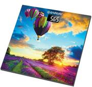 НапольныевесыENDEVERAurora-551