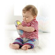 FPTelecomandaInteligenta(rus)