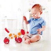 HAPE-PEPEPULLALONG/FSC