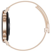 HUAWEIWATCHGT242mm,Gold