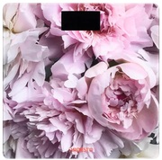 ВесынапольныеArdestoSCB-965PEONIESмакс.вес150кг/рисунок