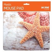 CovorasAcmeSeashells,brown