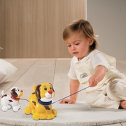 "Лающиесобаки"