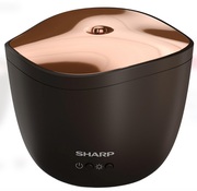 AirSaturatorSharpDF-A1ETS01