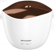 AirSaturatorSharpDF-A1EWS03