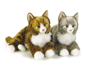 SOSКошкадикая-38см