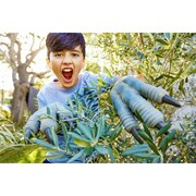 VelociraptorManusaseria"JurassicWorld2"