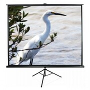 EliteScreens113"(1:1)203,2x203,2cmTripodSeriesPullUp,Black
