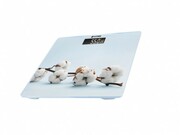 НапольныевесыVitekVT-8078