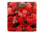 НапольныевесыMaxwellMW2666