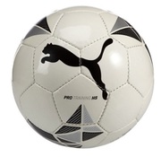 MingefotbalPumaProTraining,White/Black,5(082431-01-5)