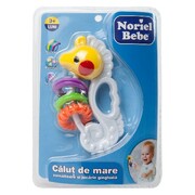 ZornaitoaresiJucarieGingivalaCalutdeMare