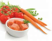 ПароваркаTEFALVC1301