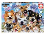 Educa17983500FunInTheSunSelfie