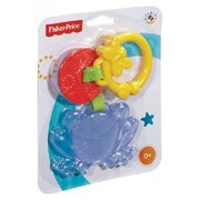 FPJucarieGingivala"Leu/Broscuta"ast