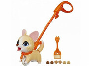 FRRPOOPALOTSLILWAGSAST